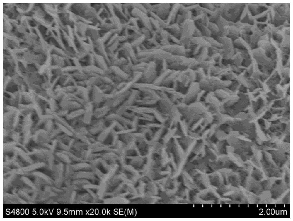 V-FeS/IF electrocatalytic material and preparation method thereof