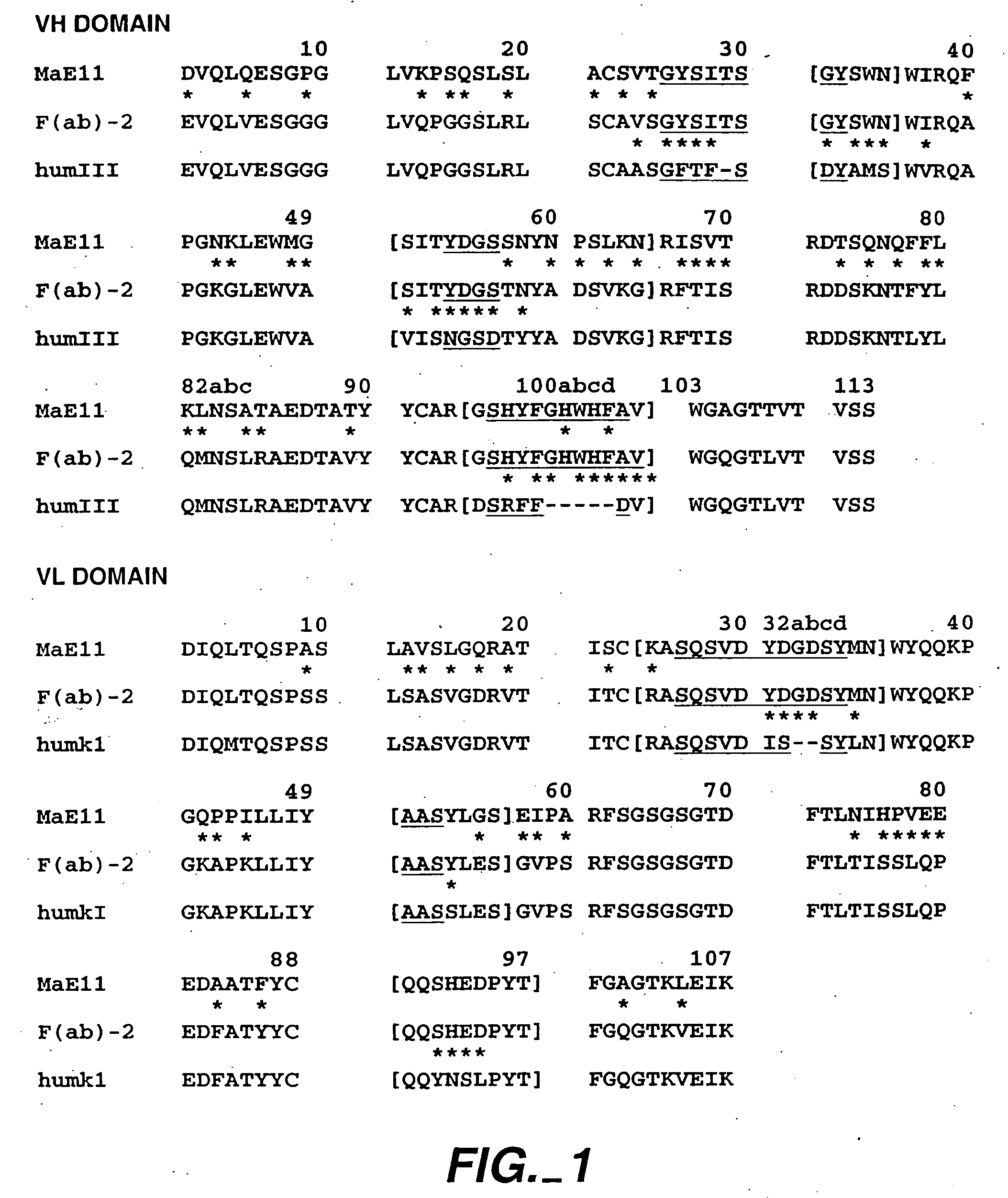 Anti-IgE antibodies