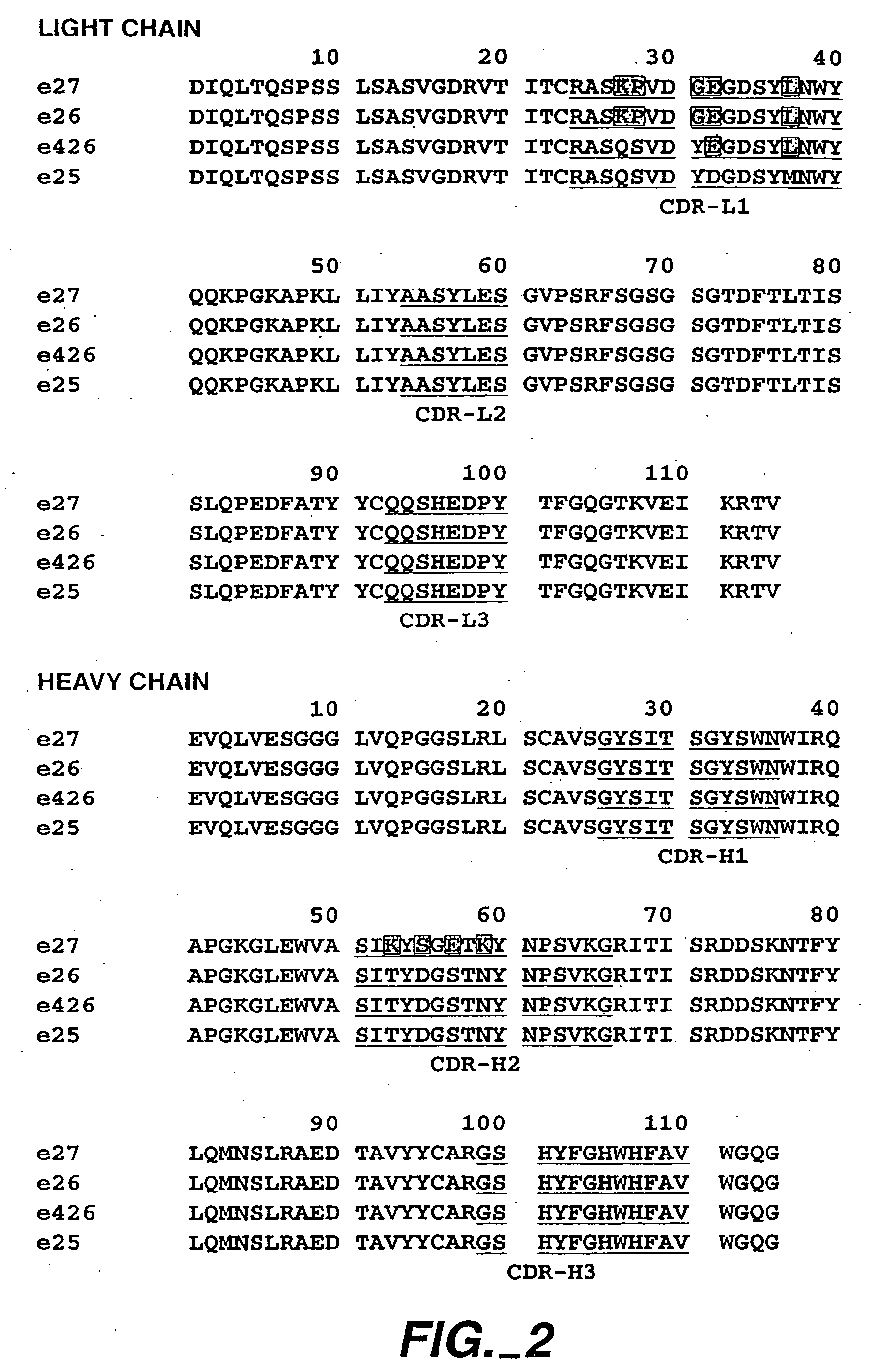 Anti-IgE antibodies