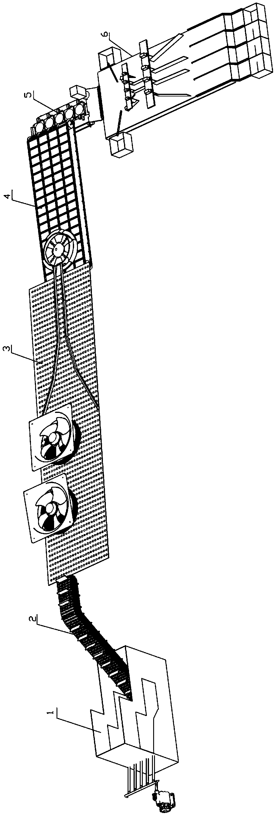 Green plum sorting production line and sorting method