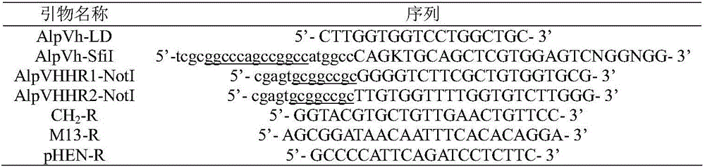 Nano antibody for specifically identifying histidine label