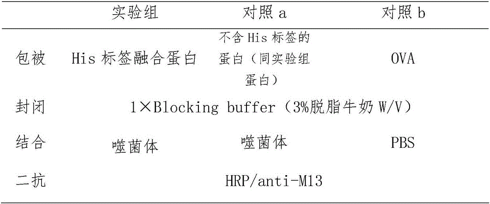 Nano antibody for specifically identifying histidine label