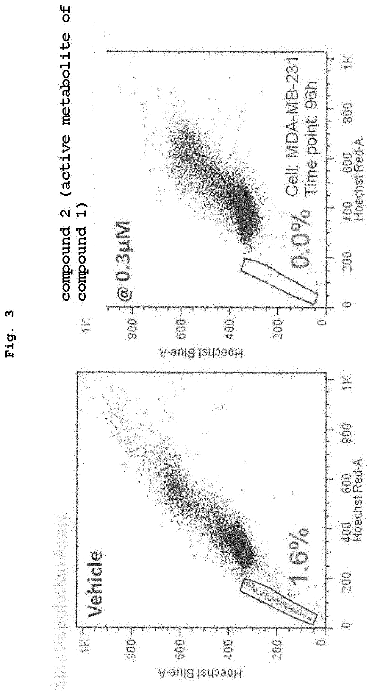 Anticancer combination of a CBP/catenin inhibitor and an immune checkpoint inhibitor