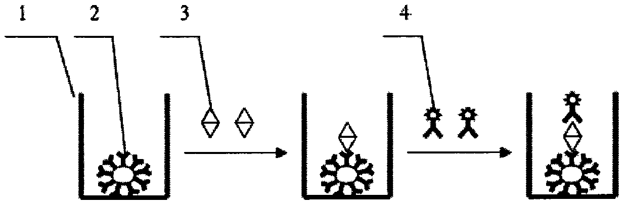 Time resolution fluorescence detection kit based on phosphorescence luminous technology, and preparation method and application of detection kit