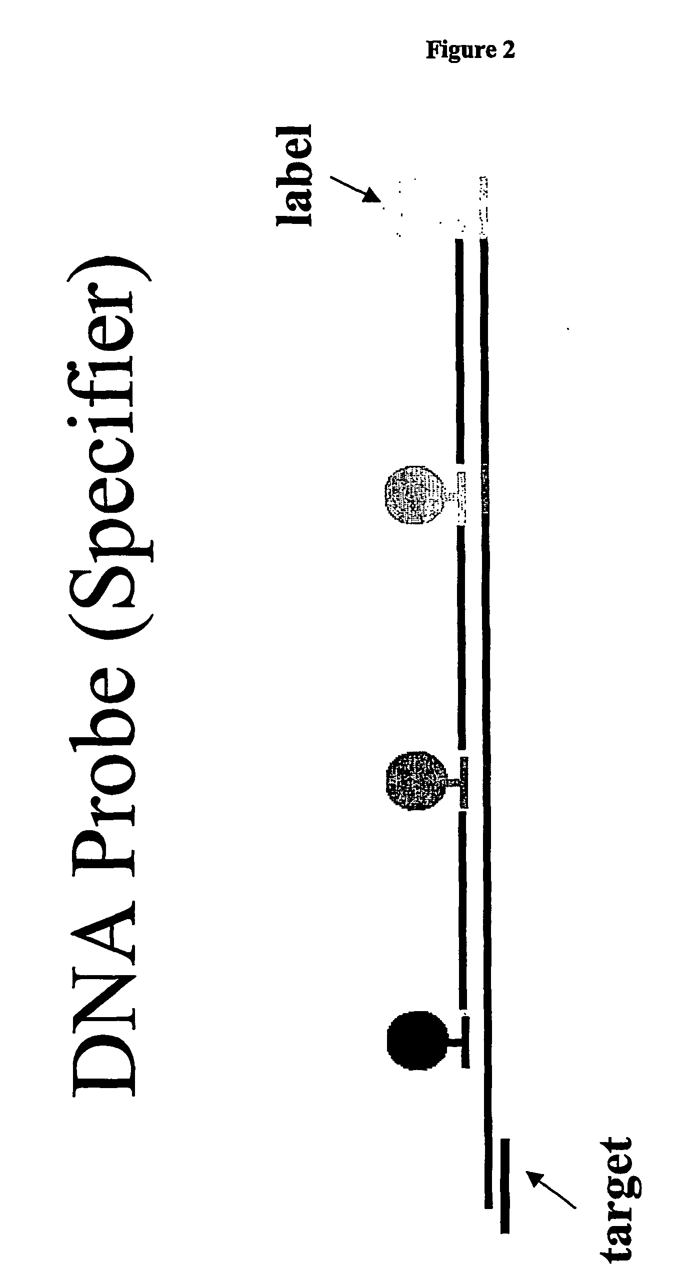 Methods for detection and quantification of analytes in complex mixtures