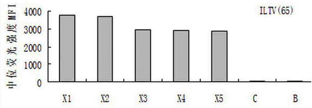 Liquid-phase chip method used for detecting infectious laryngotracheitis virus