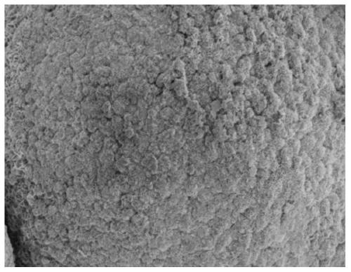 Modified lithium nickel cobalt aluminate cathode material and preparation method and application thereof