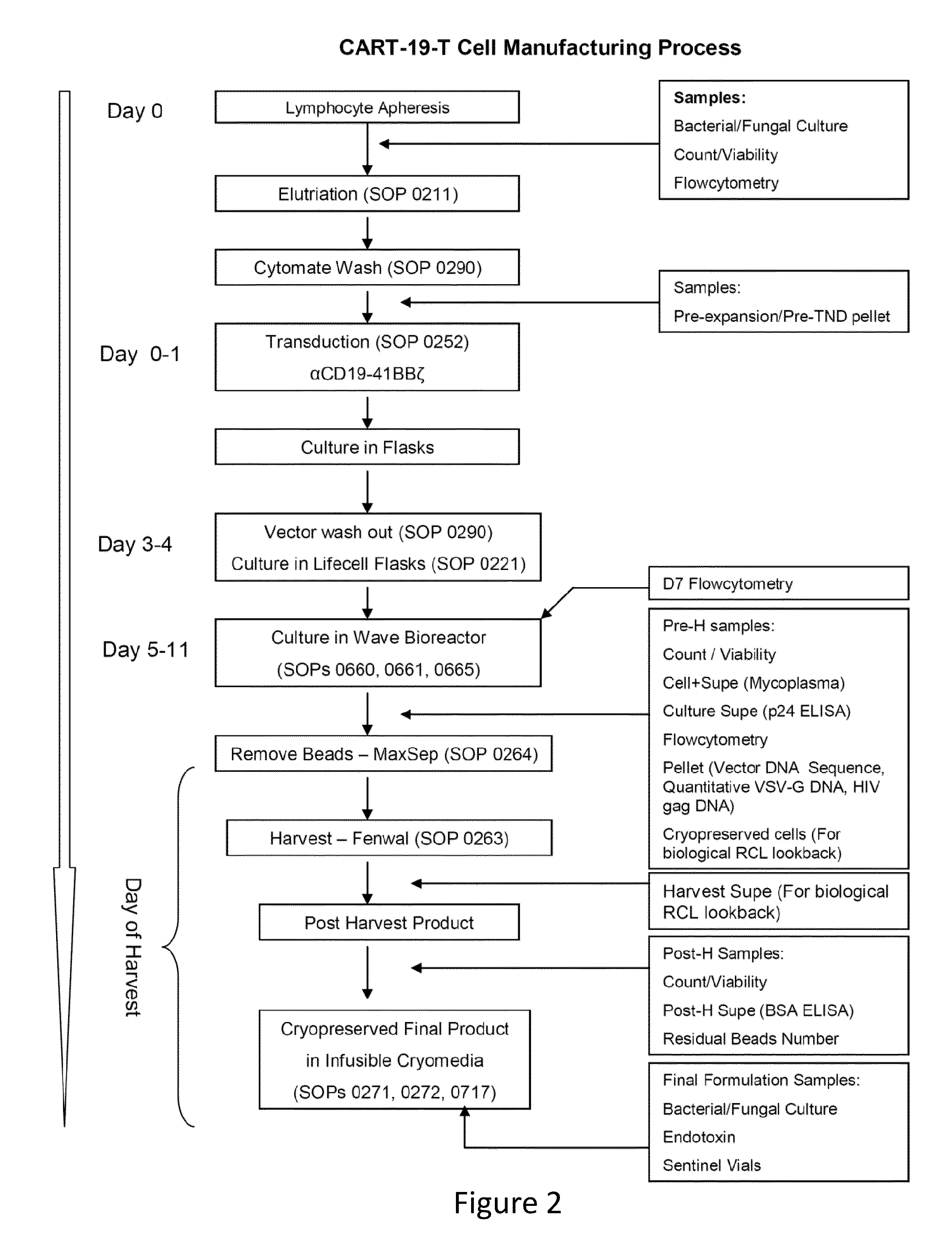 Methods for Assessing the Suitability of Transduced T Cells for Administration