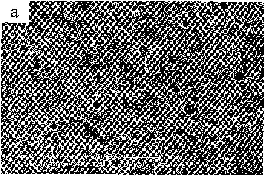 Polyester/polyethylene/carbon nanotube ternary composite material and preparation method thereof