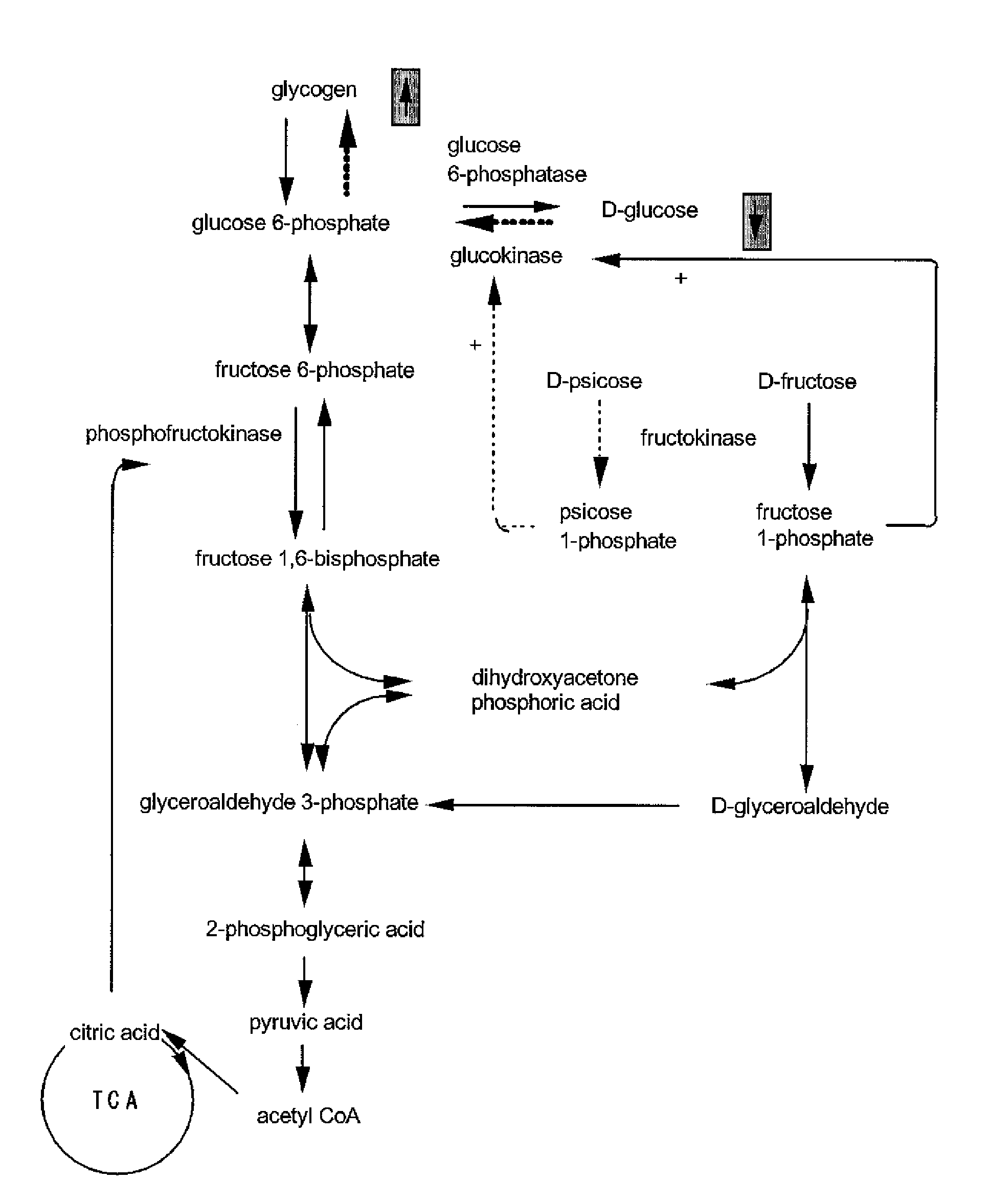 Application of d-psicose to suppression of abnormal circadian increase in blood glucose level