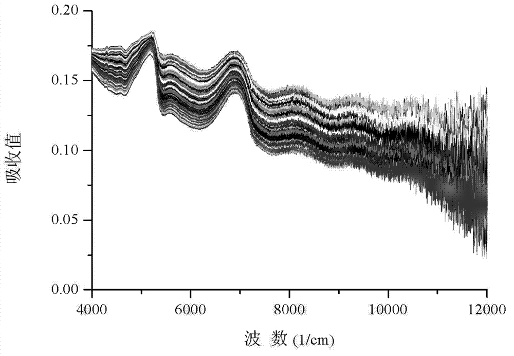 Identification method for rice leaves contaminated by heavy metals based on near infrared spectroscopy