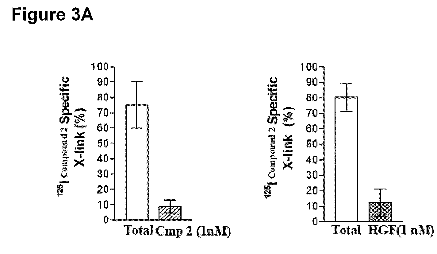 C-Met receptor regulation by angiotensin IV (AT<sub>4 </sub>) receptor ligands