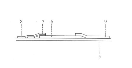 Benzopyrene rapid detection card