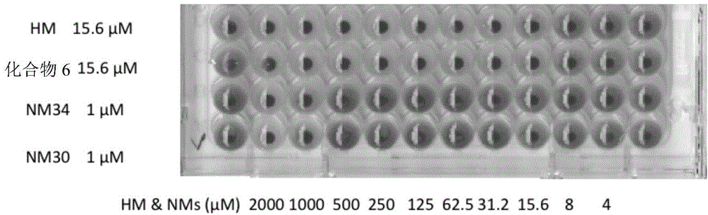 Multimeric mannosides, a process for preparing the same and their uses as a drug