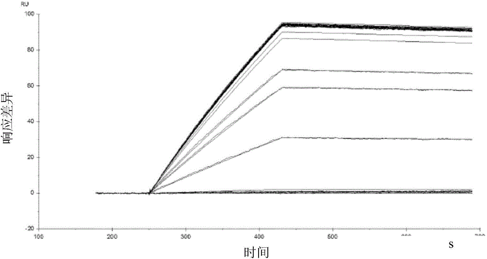 Multimeric mannosides, a process for preparing the same and their uses as a drug