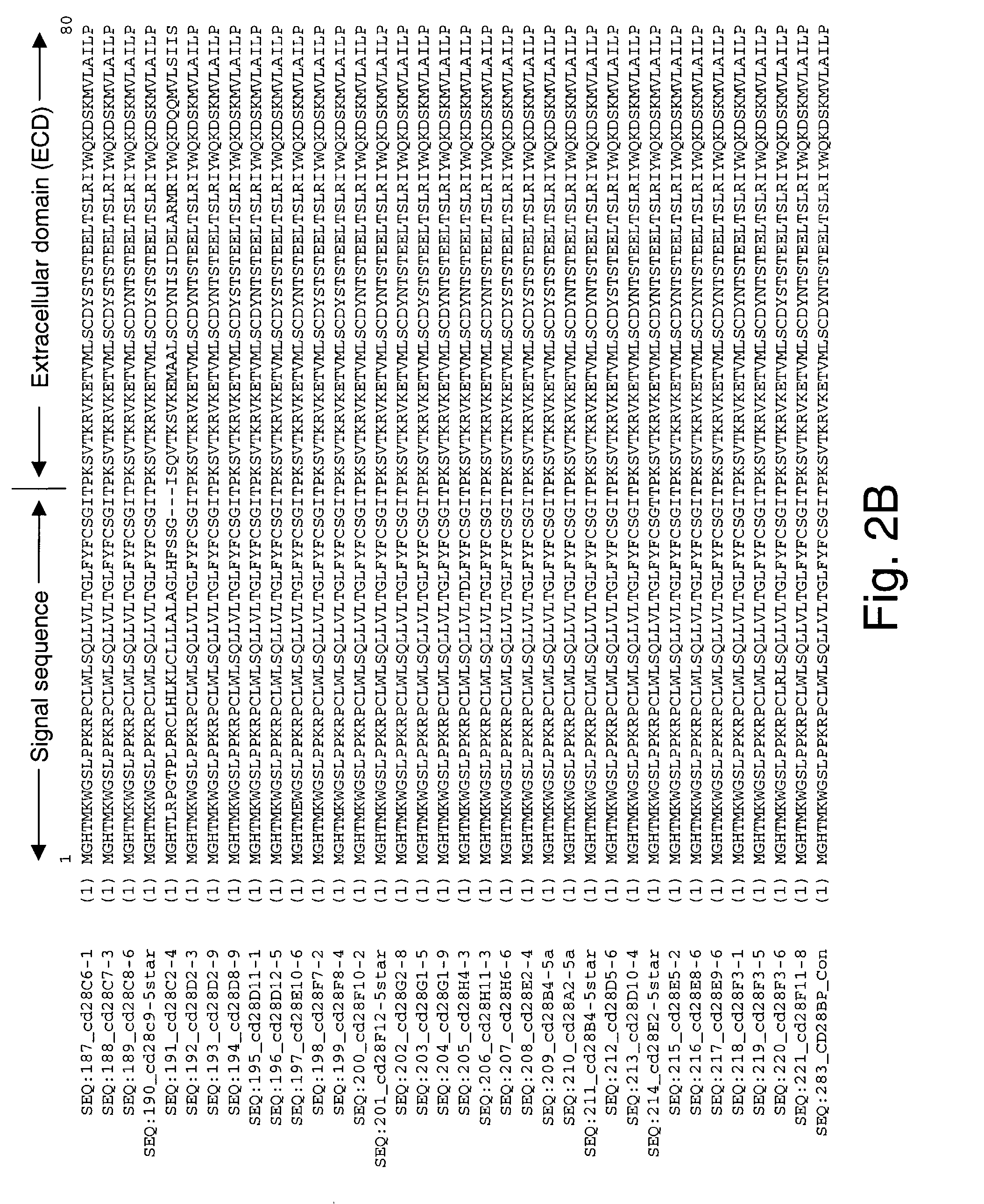 Co-stimulatory polypeptides