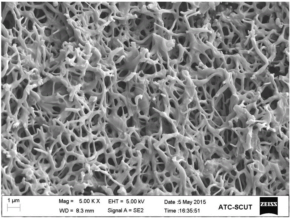 Alkali lignin-based electrostatic spinning carbon fiber and preparation method and application thereof