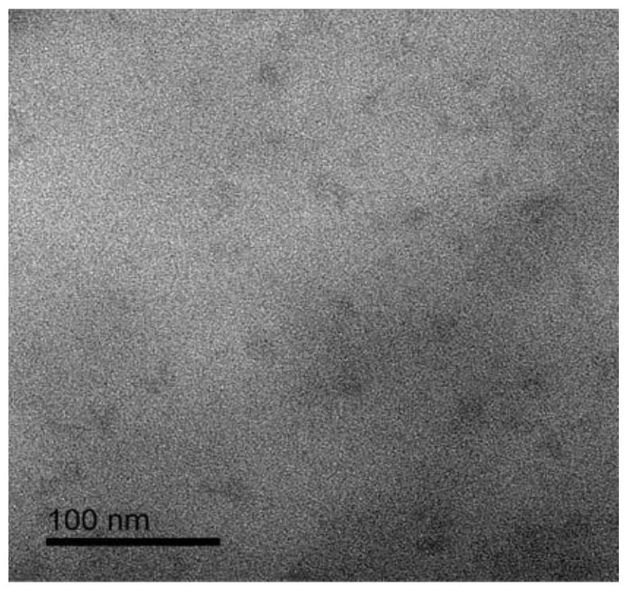 Method for preparing fluorescent carbon quantum dots from alternanthera philoxeroides and detecting lemon yellow