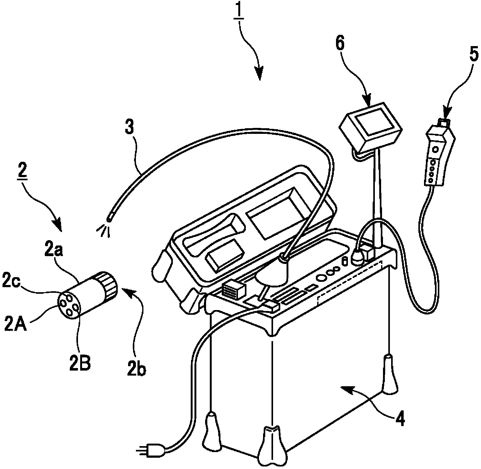 Endoscopic apparatus and measuring method