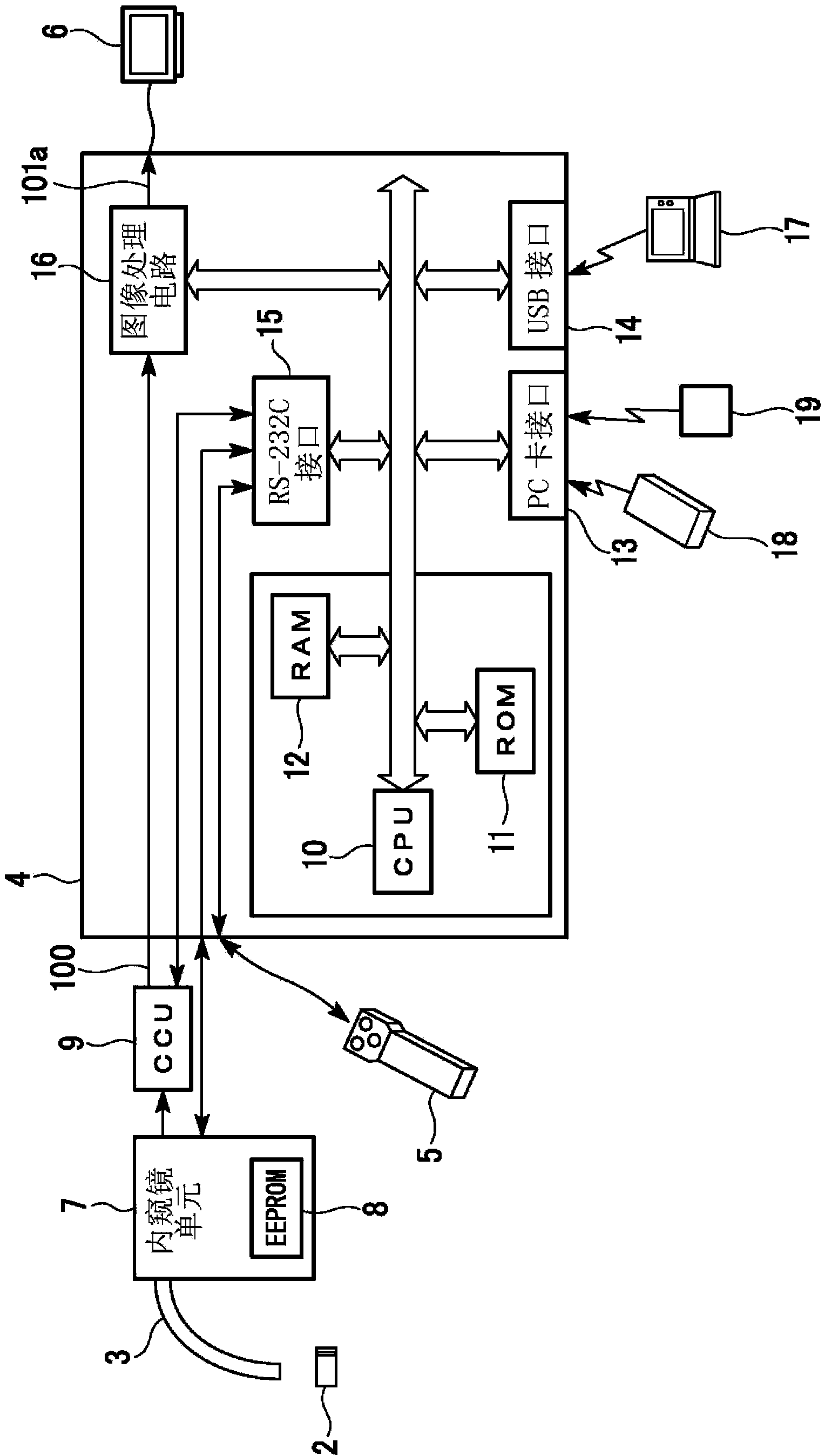 Endoscopic apparatus and measuring method