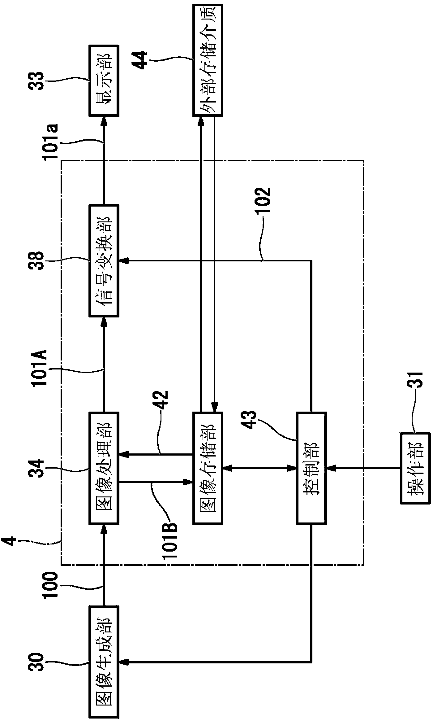 Endoscopic apparatus and measuring method