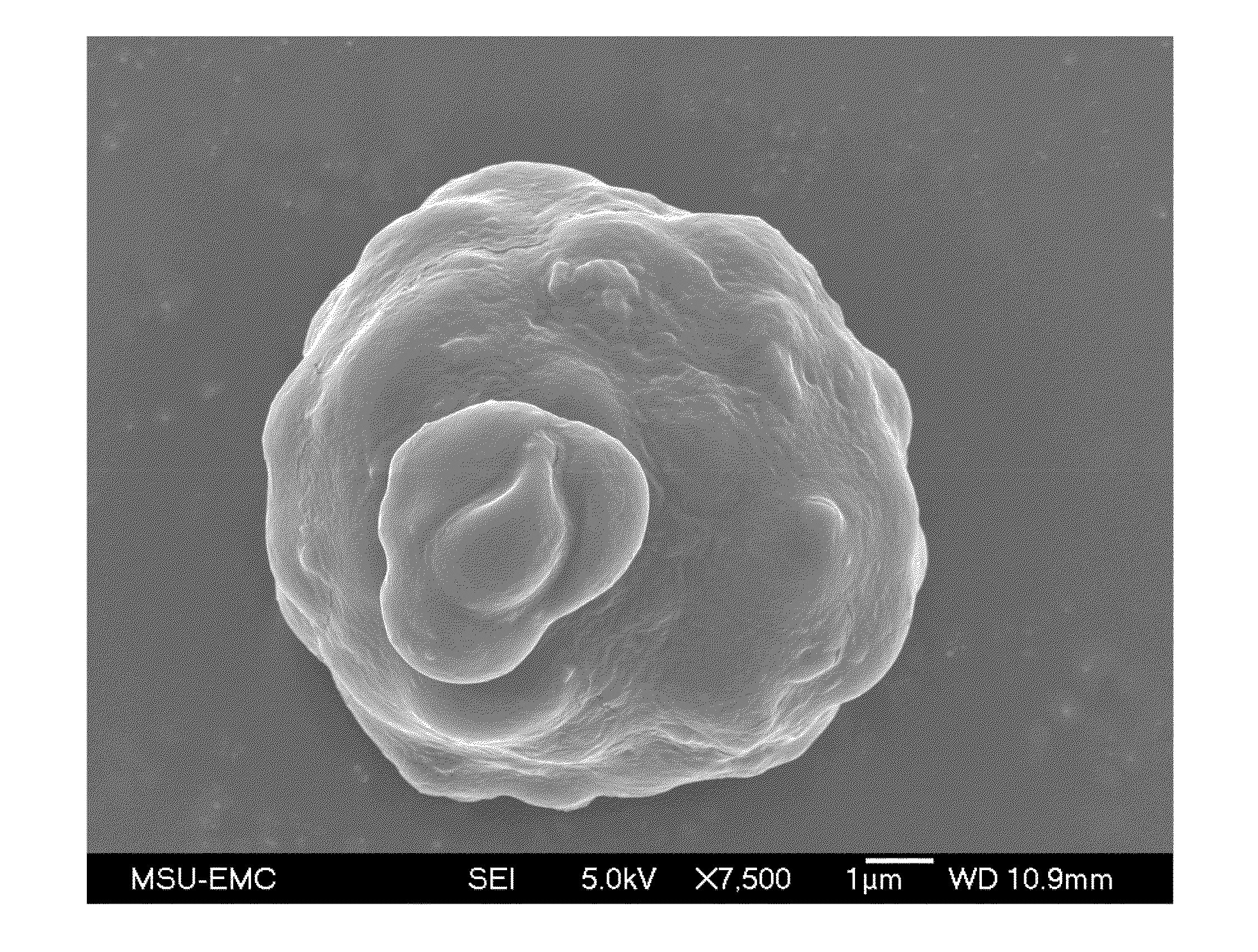 Method for Encapsulation of Microparticles