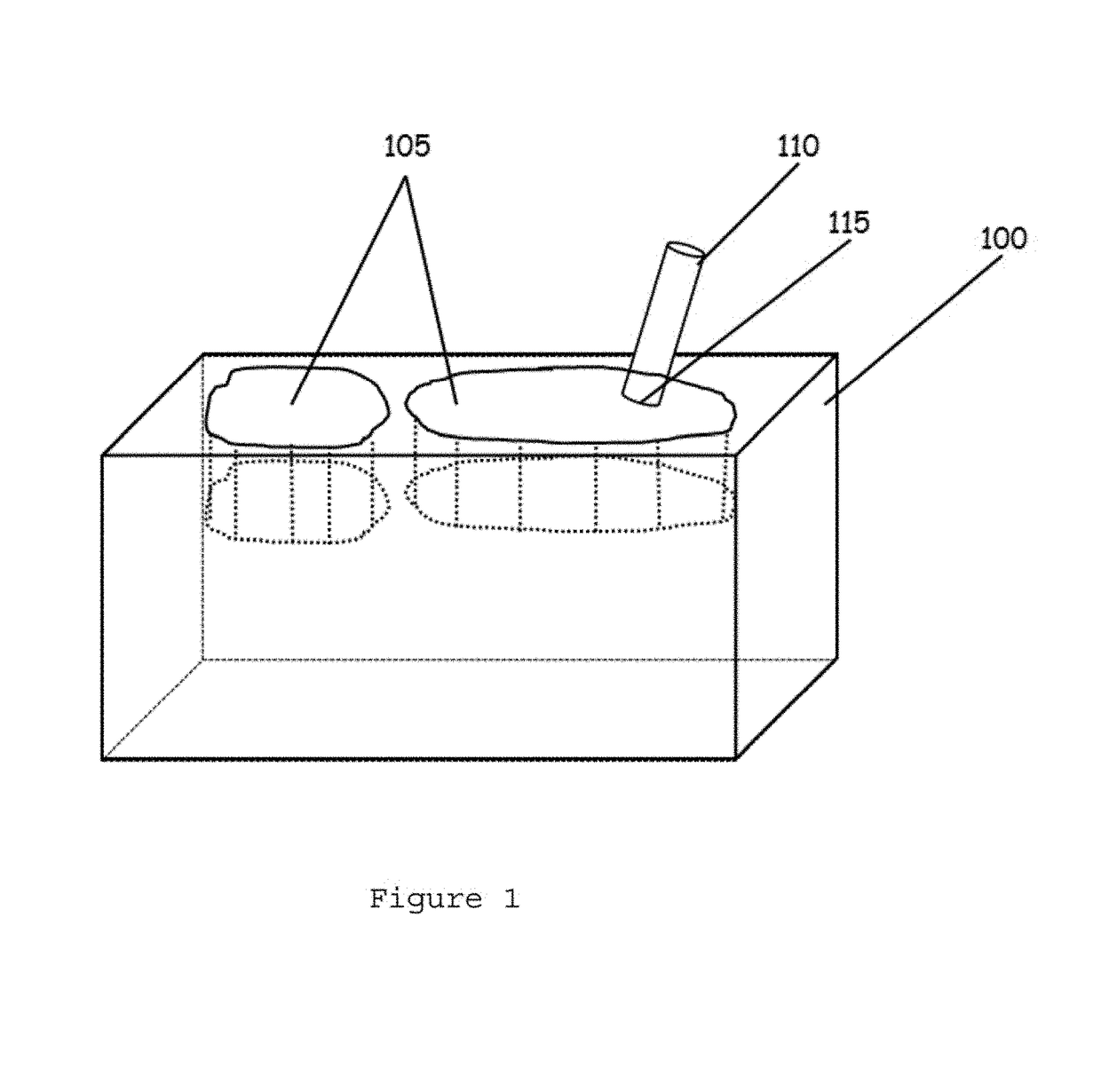 Tissue array using a carrier medium and method for providing the same