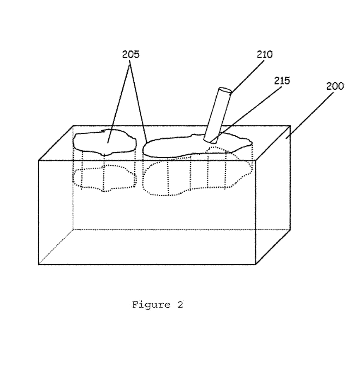 Tissue array using a carrier medium and method for providing the same