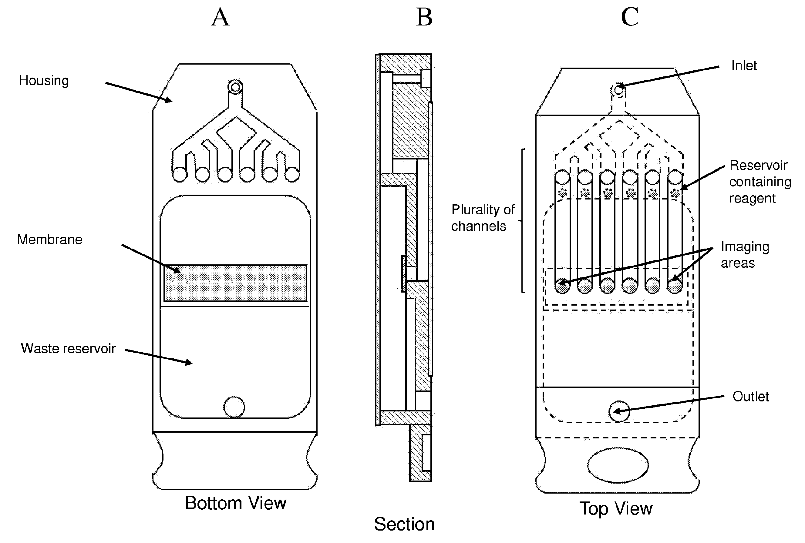 Multiplex analysis of cells, particles, and other analytes