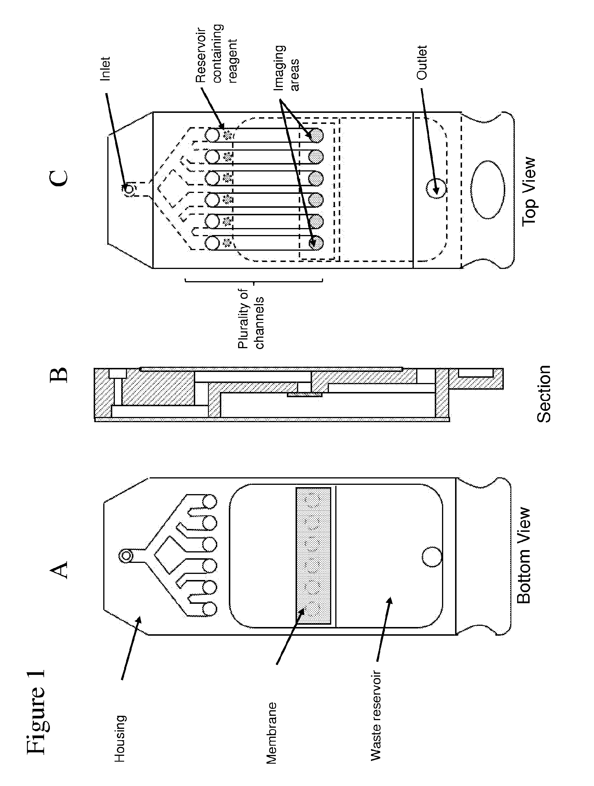 Multiplex analysis of cells, particles, and other analytes