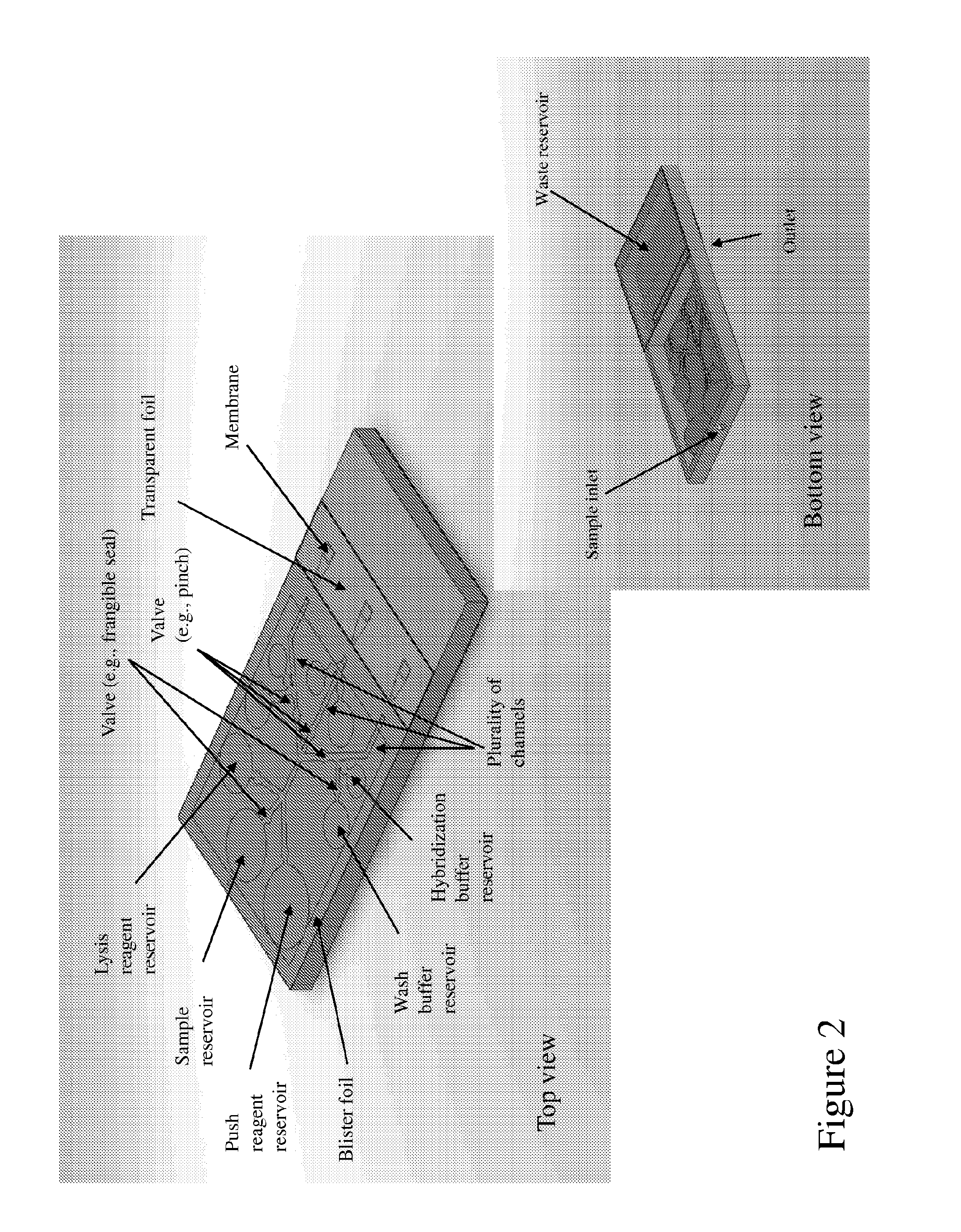 Multiplex analysis of cells, particles, and other analytes