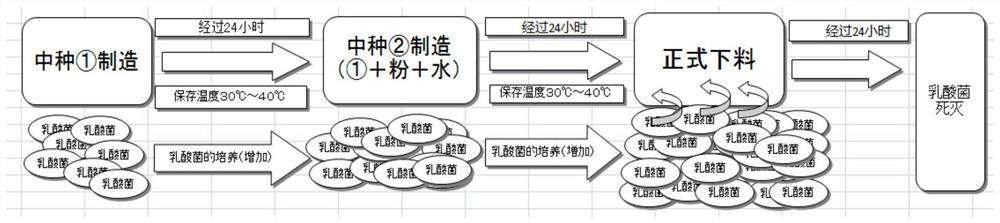 Application of Novel Lactobacillus Fermentum in Food Field