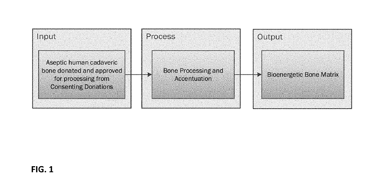 Bioenergetic bone