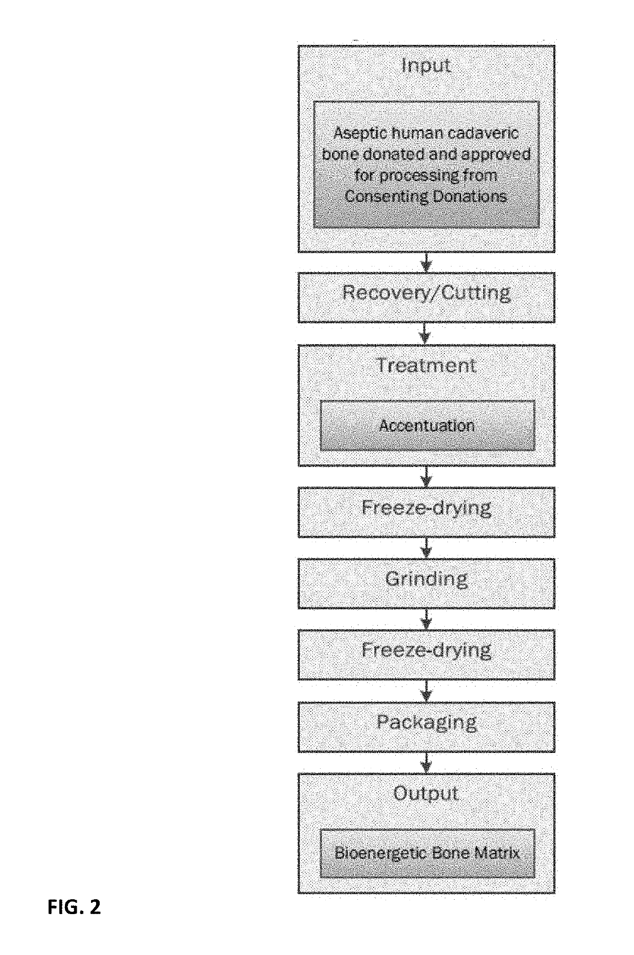 Bioenergetic bone