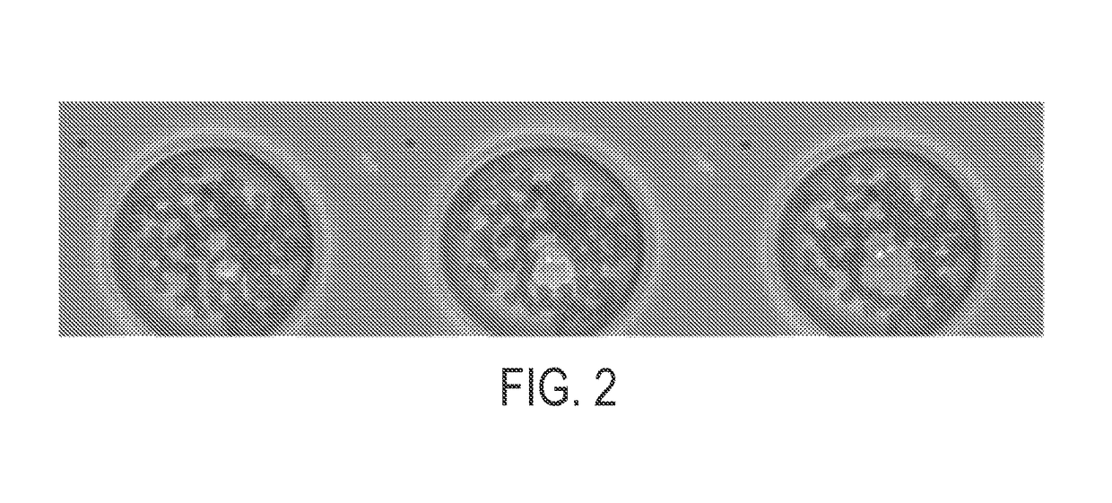 High throughput sequencing of multiple transcripts