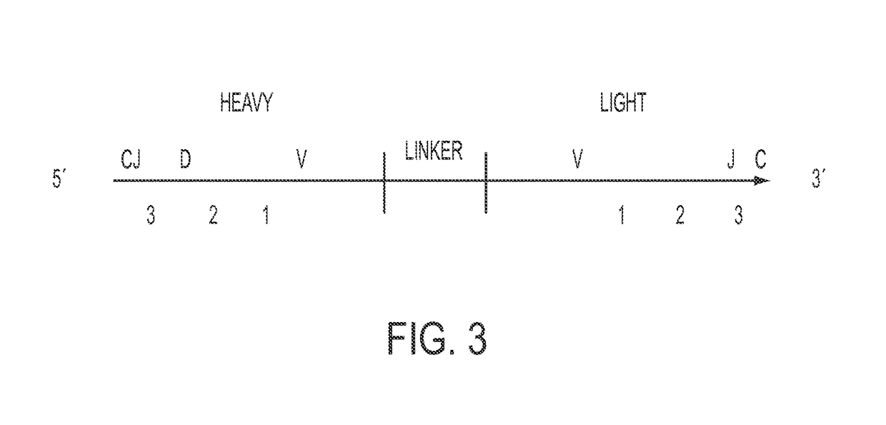 High throughput sequencing of multiple transcripts