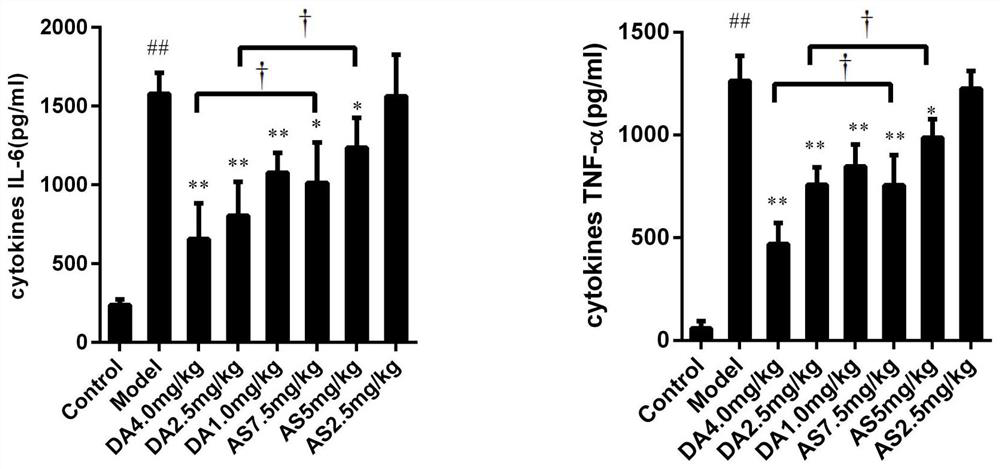 Succinated derivatives of artesunate and its preparation method and application in medicine