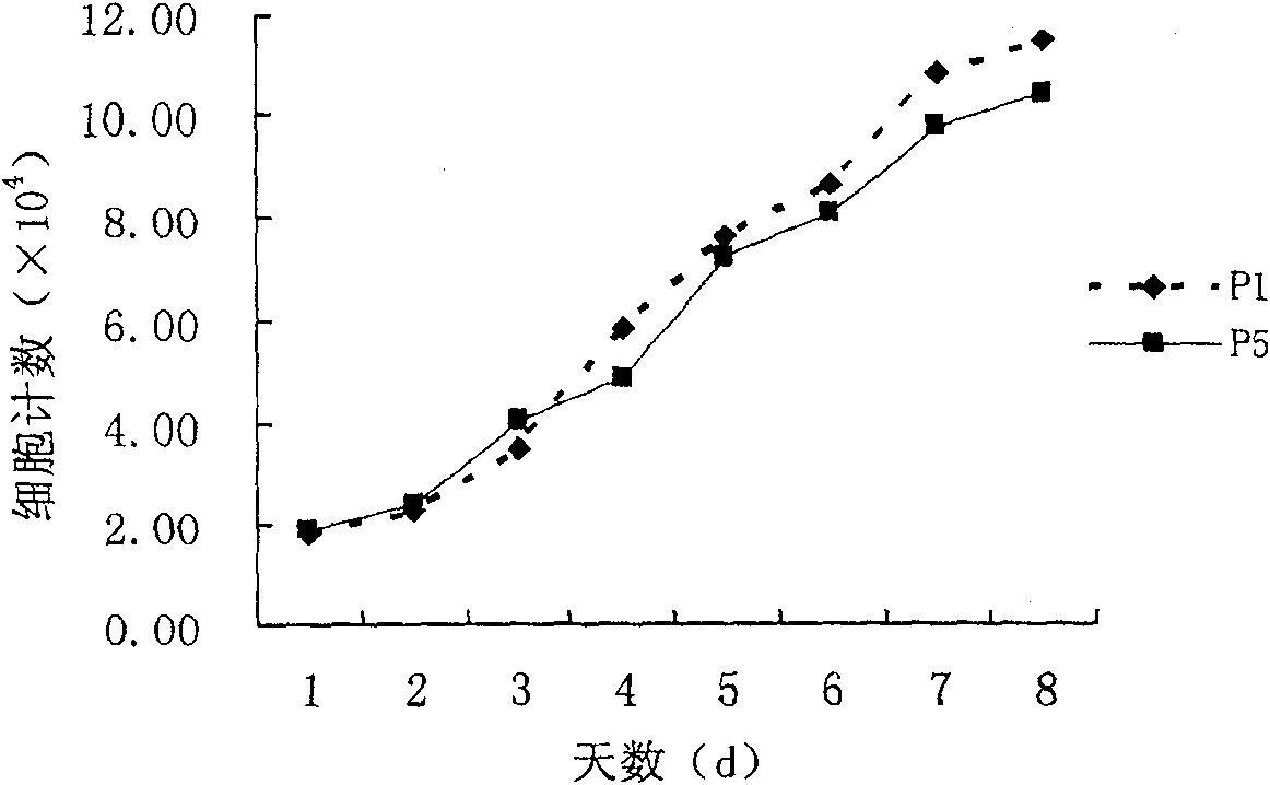 Method for sorting primary human marrow mesenchy malstem cell by monoclonal antibody ZUB4 immunomagnetic bead