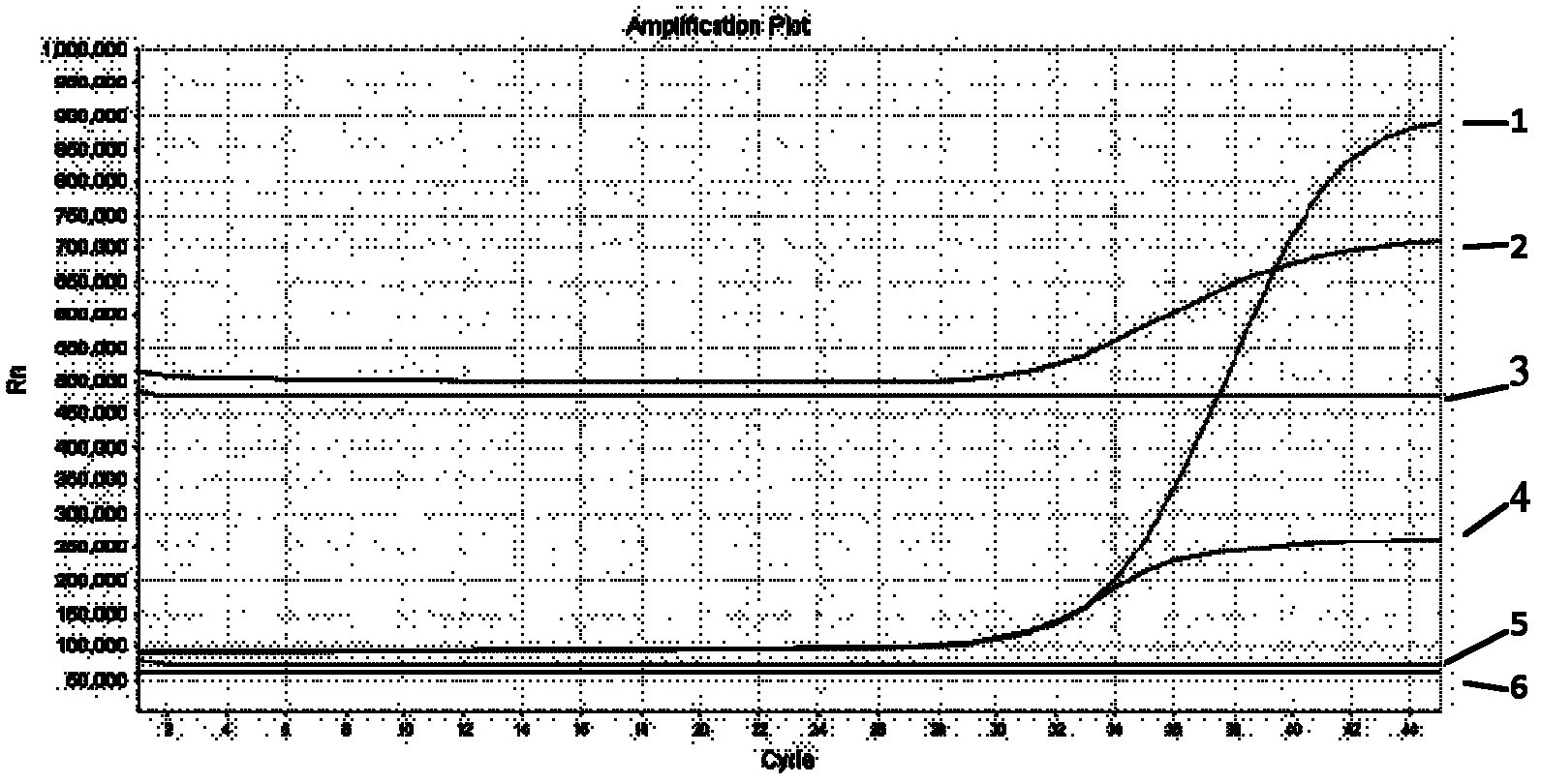 High-sensitivity real-time fluorescence detection method