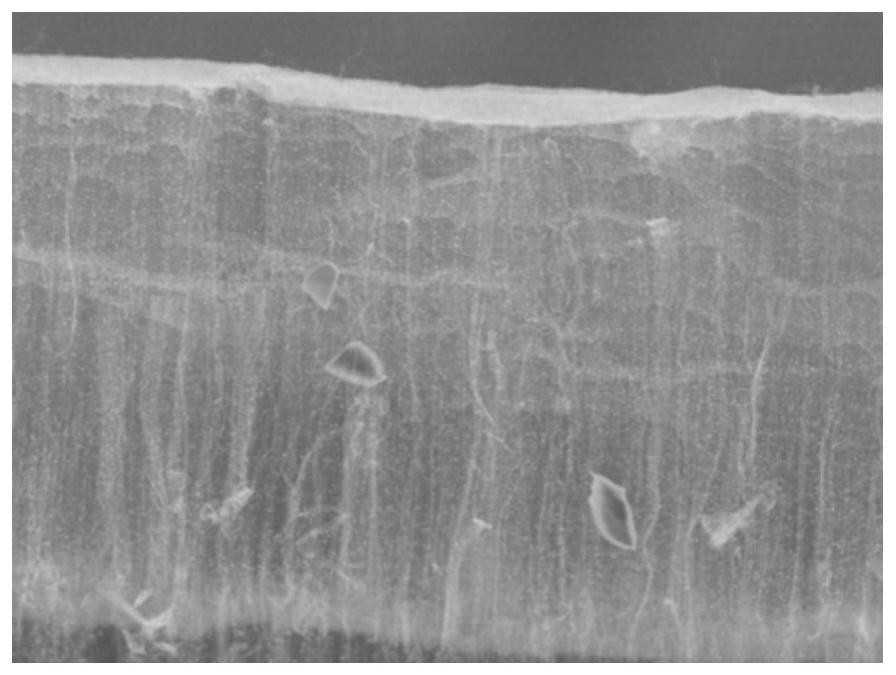 A kind of copper-filled carbon nanotube array-based composite material and preparation method thereof