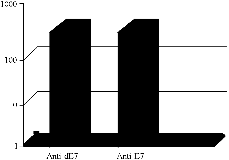 Vectors for DNA immunization against cervical cancer