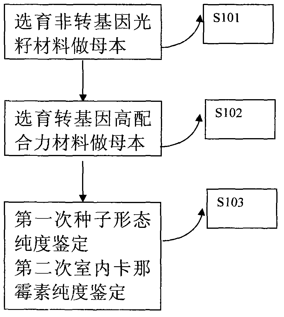 Production method of environment-friendly economic cotton hybrid