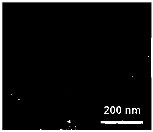 PH responsive nanometer carrier as well as preparation method and application thereof