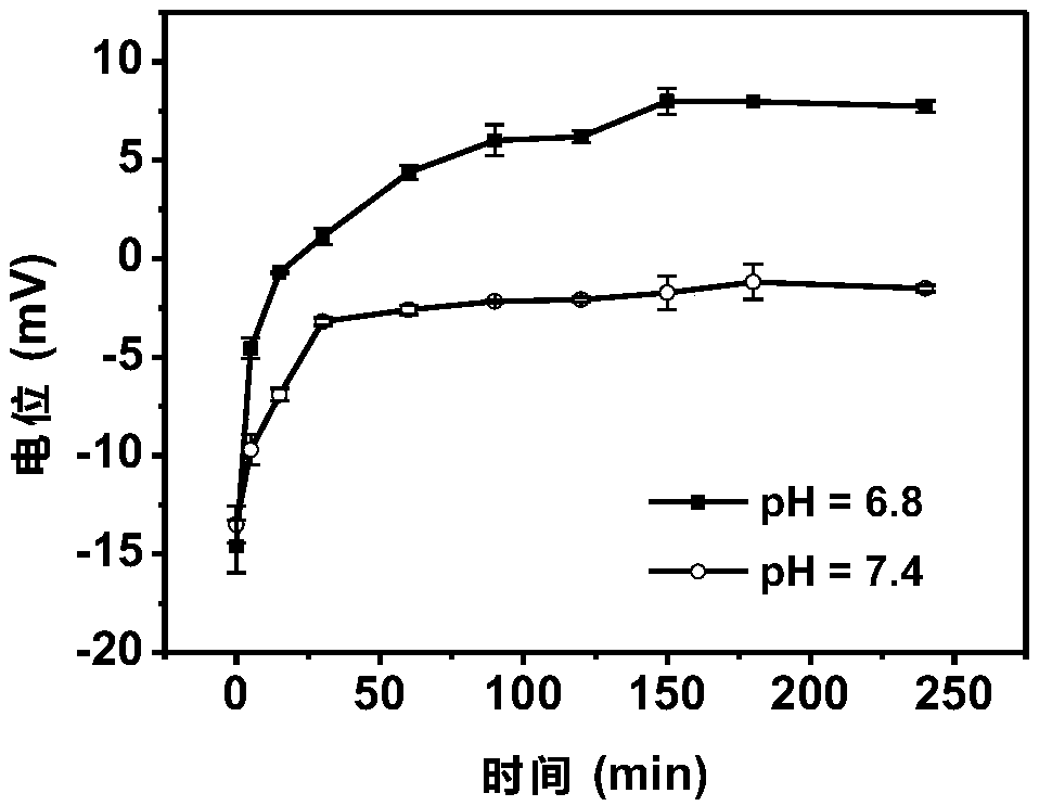 PH responsive nanometer carrier as well as preparation method and application thereof