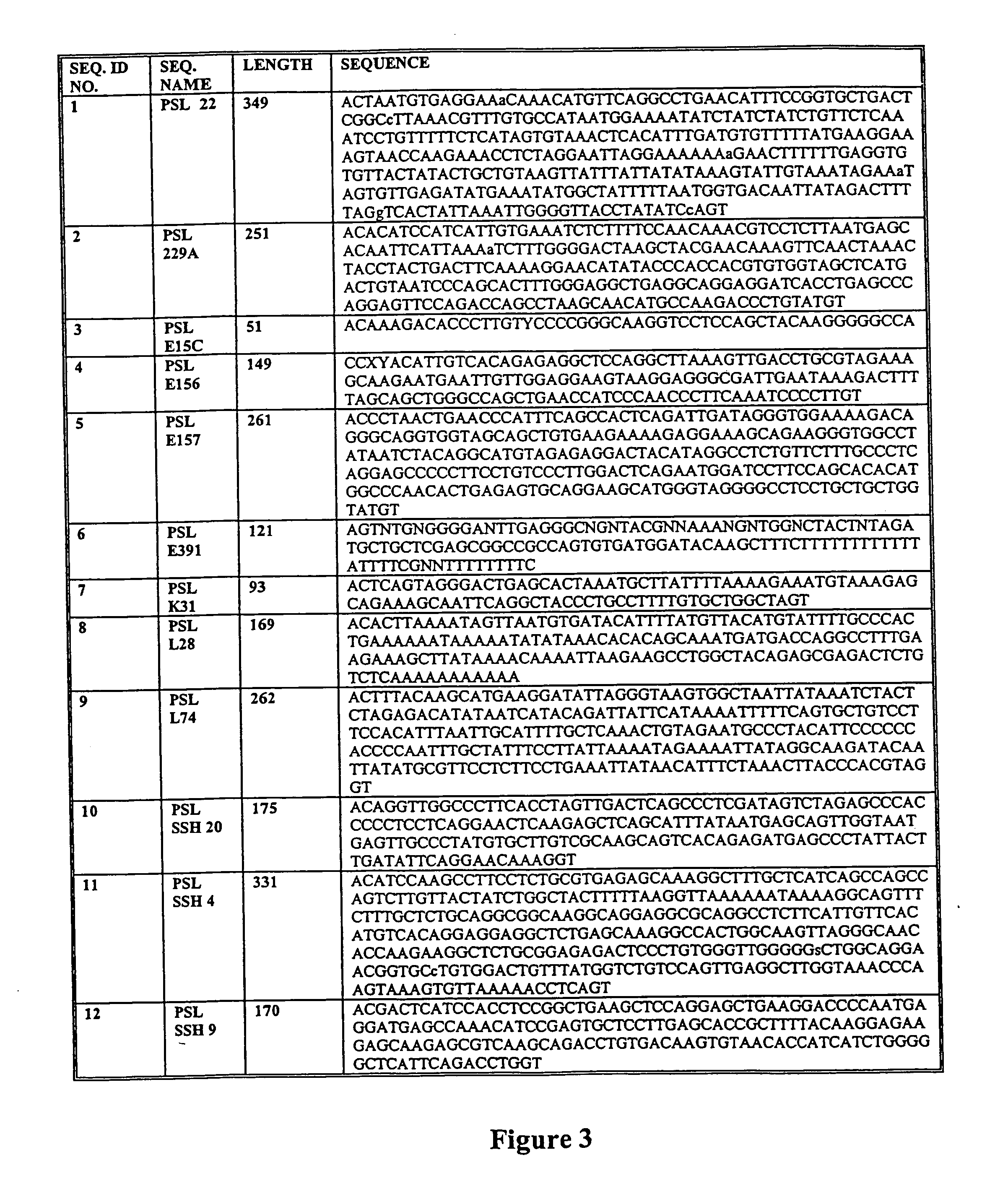 Novel prostate-specific or testis-specific nucleic acid molecules, polypeptides, and diagnostic and therapeutic methods