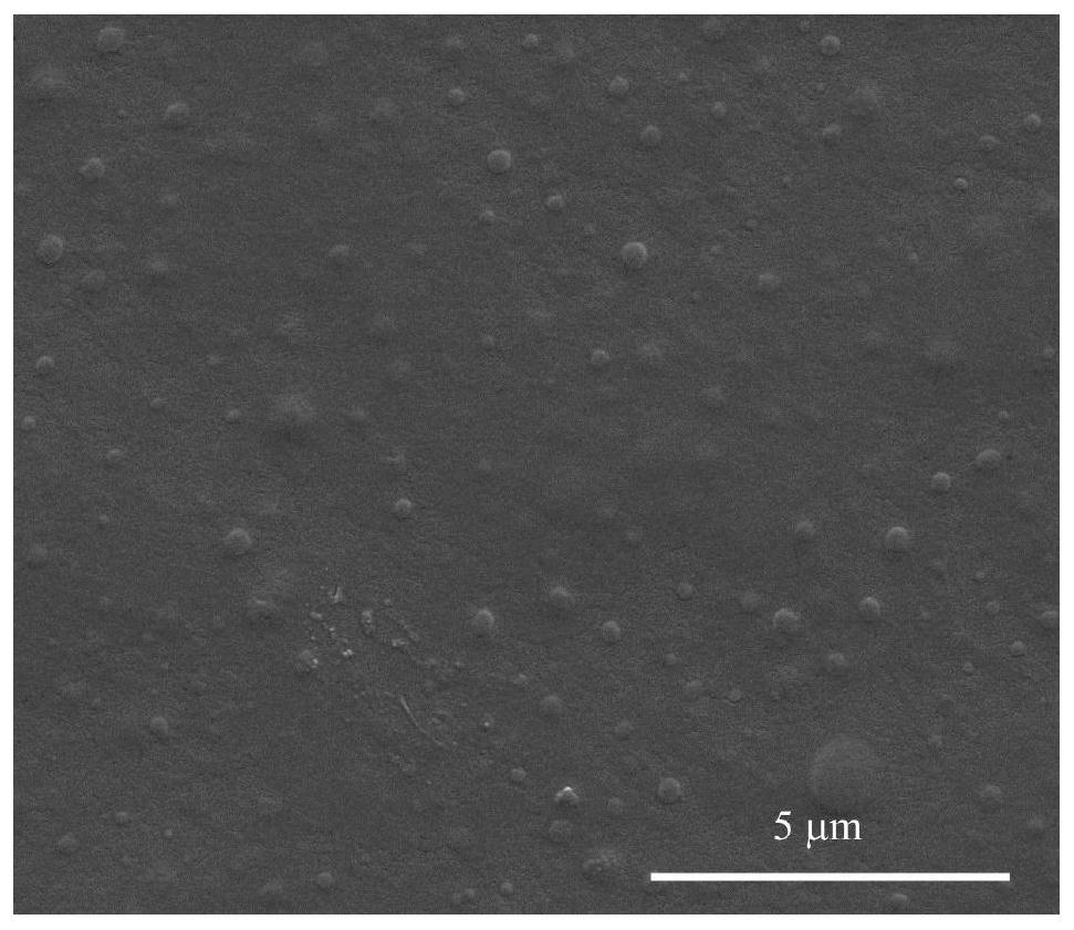 Composite material imitating desert beetle structure and preparation method of composite material