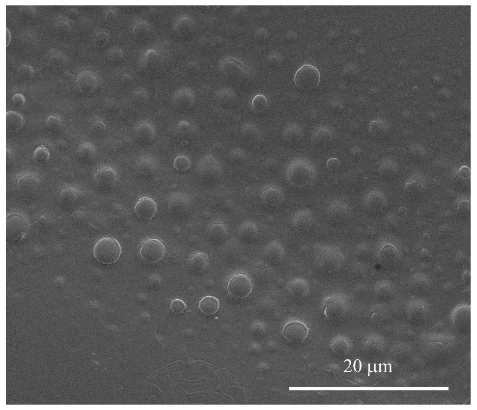 Composite material imitating desert beetle structure and preparation method of composite material