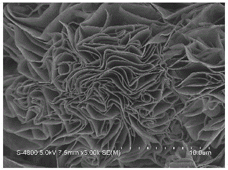 Preparation method of copper sulfide nano rose