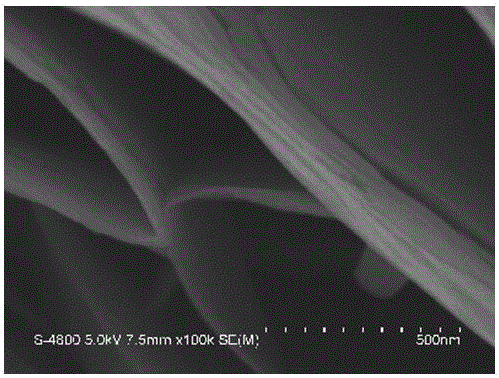 Preparation method of copper sulfide nano rose