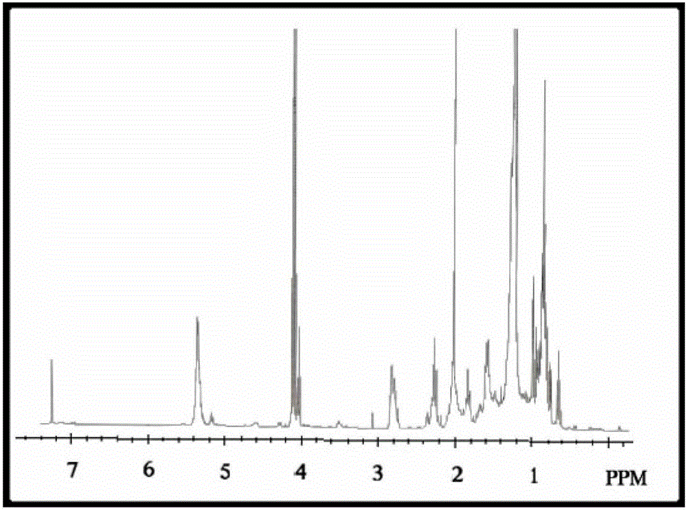 Coral extract, extraction method and use thereof, and coral extract skin care product